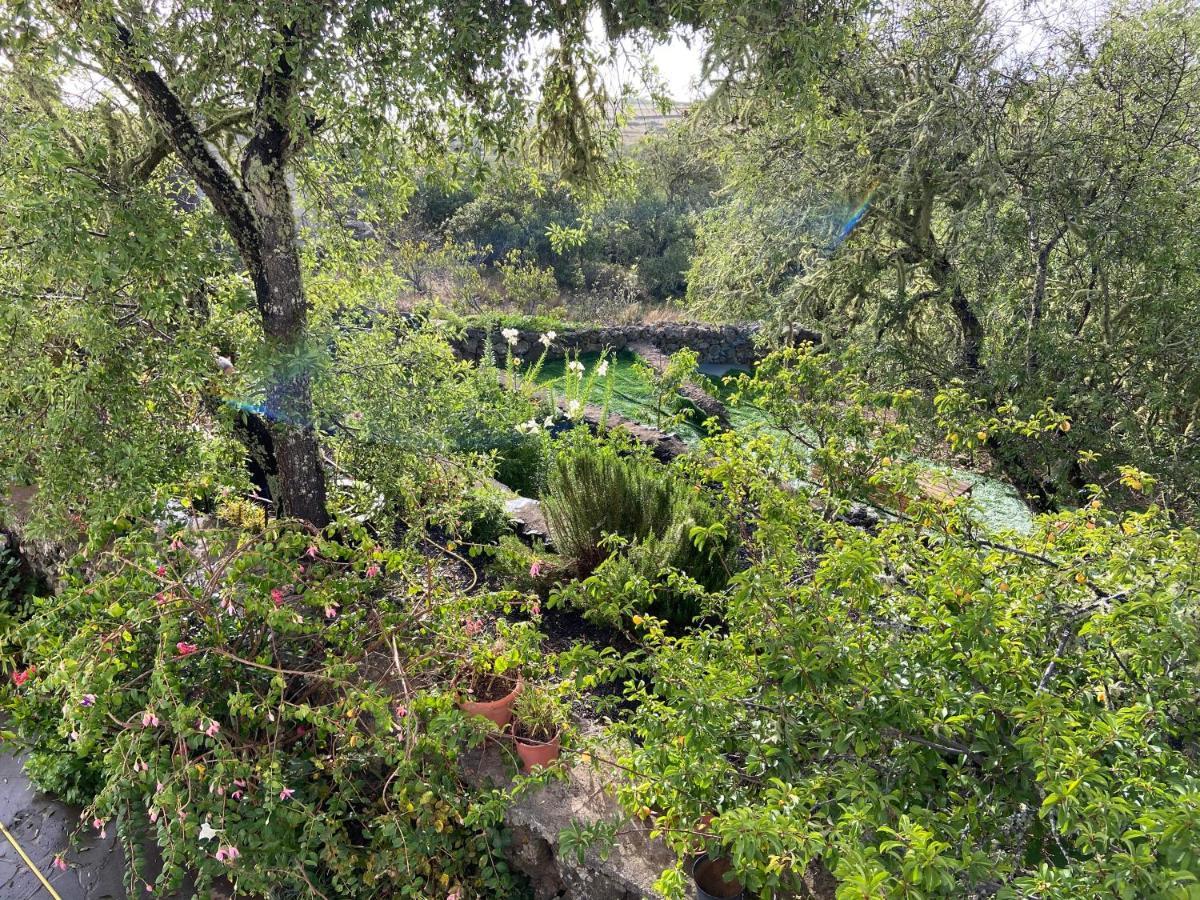 Casas Rurales Tio Antonio Las Rosas  外观 照片