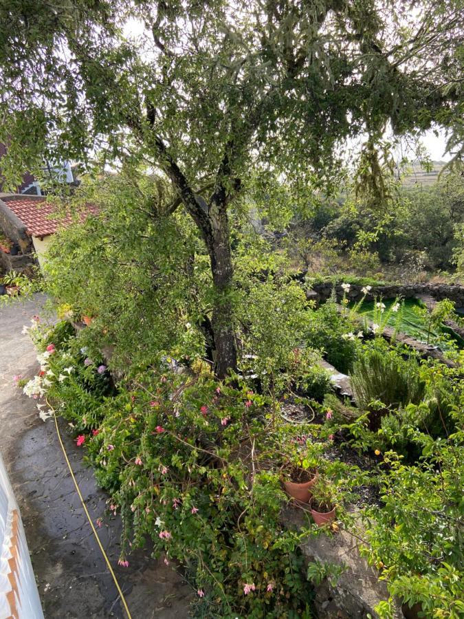 Casas Rurales Tio Antonio Las Rosas  外观 照片